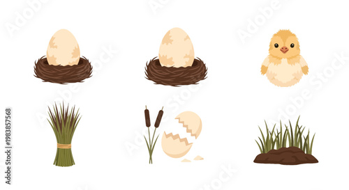 Sunny Side Up Eggs with Chick, Rice Stalks, and Grass Soil Scene