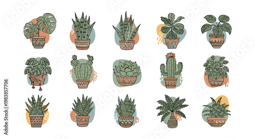 Boho Potted Houseplants Collection: Tropical & Succulent Plants with Abstract Shapes