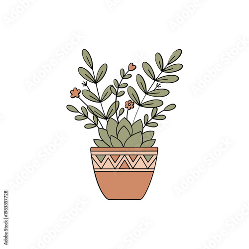 Boho Potted Plant with Delicate Flowers and Leaves, Isolated on White