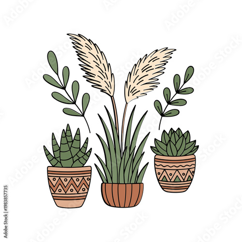 Boho Potted Plants and Pampas Grass Illustration