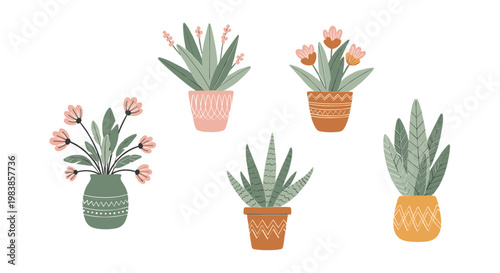 Boho Potted Plants Collection - Hand-drawn Succulents and Flowers in Textured Pots