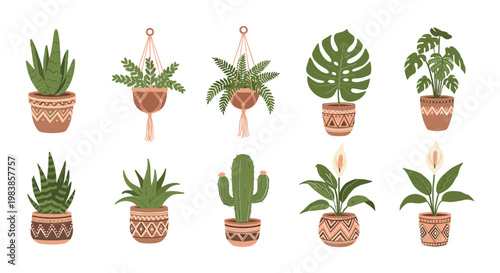 Boho Potted Plants Collection: Hanging and Standing Houseplants, Boho Decor