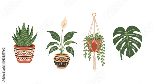 Boho Potted Plants Collection: Succulent, Peace Lily, Hanging Plant, Monstera Leaf