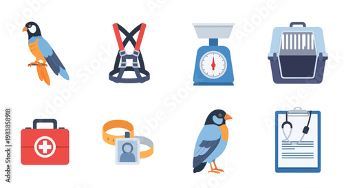 Collection of colorful bird illustrations with medical and travel equipment icons