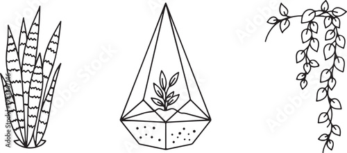 Houseplants and geometric terrarium vector icons in a simple line art style Isolated on white background