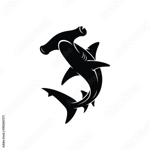 Black shark and dolphin swimming together white animal
