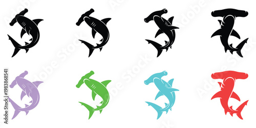 Colorful dolphin animal marine aquatic