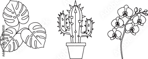 Monstera leaves potted cactus and orchid flowers in a simple line art style Isolated on white background