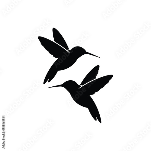 Two black hummingbirds flying side by side silhouette