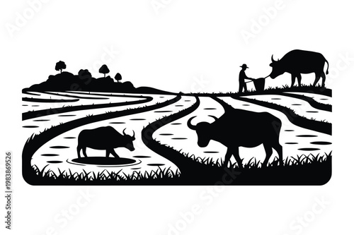 Silhouette of traditional rice terrace landscape with water buffaloes and farmer