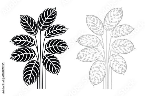 Two stylized leafy plant silhouettes with plant life leaf shape plant part