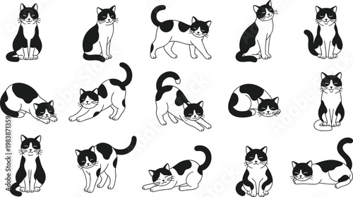 A collection of adorable black and white cats in various poses are displayed against a clean white background showcasing feline charm high quality