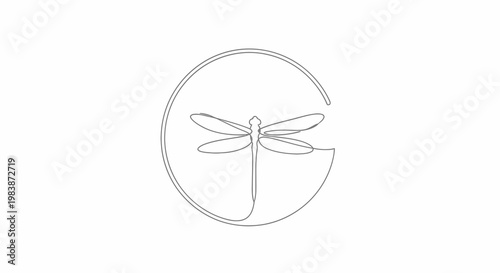 Dragonfly Insect Icon Graphic Design.