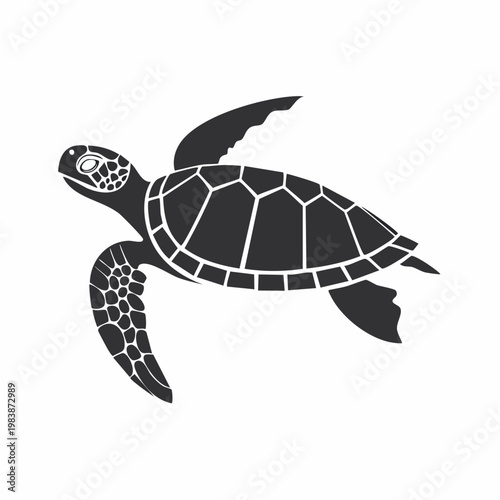 Sea Turtle Silhouette