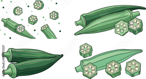 Okra Vegetable Detailed Illustration Set with Whole Pods and Cross Section Slices for Healthy Food Ingredient Organic Cooking Design Collection