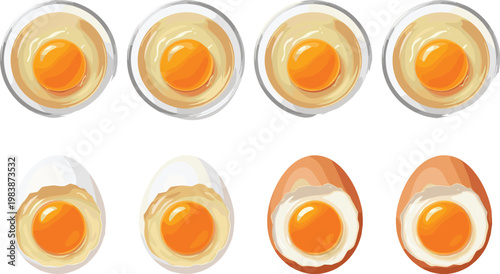 Egg Illustration Set with Whole Brown and White Eggs Cracked Shells and Visible Yolk for Food Ingredient and Cooking Design Collection