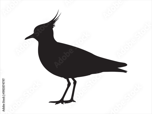 Quadro em tela Lapwing bird silhouette vector flat design, Black crowned lapwing in silhouette