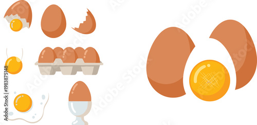Egg Illustration Set with Whole Cracked Fried and Boiled Eggs Showing Different Cooking Styles for Food Ingredient and Breakfast Design Collection