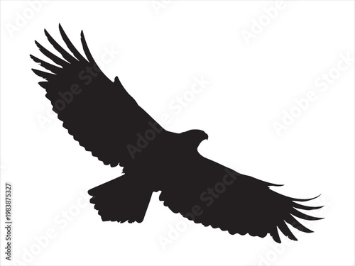 Eagle icon illustration silhouette vector illustration isolated on white background