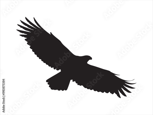 Eagle icon illustration silhouette vector illustration isolated on white background