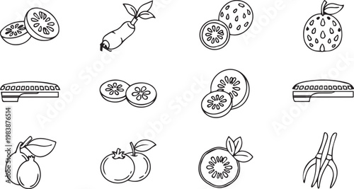 Collection of exotic tropical fruits and vegetables line art icons for healthy diet or culinary nutrition and organic farm produce infographics