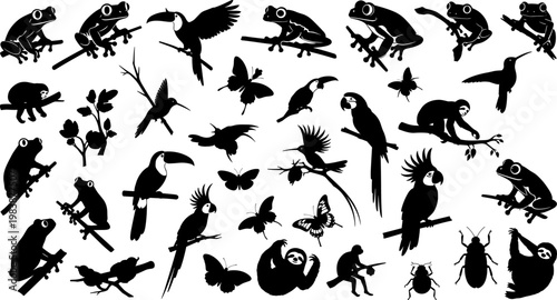 Rainforest animals silhouette collection, featuring tropical birds, frogs, sloths, butterflies, and insects on branches, isolated