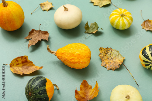 Autumn composition with pum...