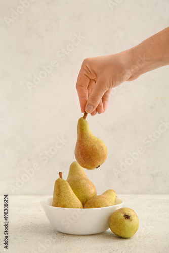 Woman putting ripe pears in...