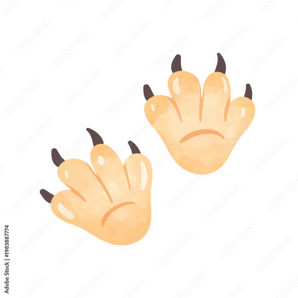 Fototapeta premium Animal paw prints with claws vector illustration, hand drawn watercolor painting style, dinosaur paw prints vector image, monster cute footprint, isolated on white background