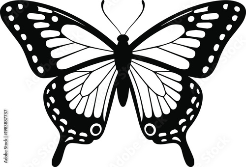 Butterfly tattoo flash sheet