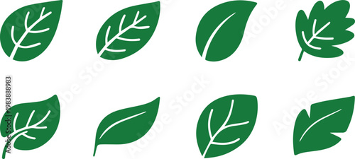 Leaf icons for botany reference