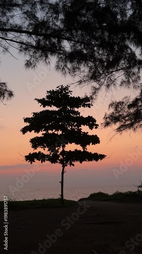 Silhouette of a lone tree against a beautiful sunset sky over the ocean. Tranquil evening landscape with soft orange and pink colors, perfect for serenity and nature concepts.