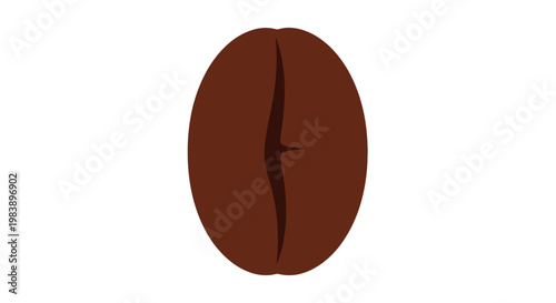 Closeup of single brown coffee bean.
