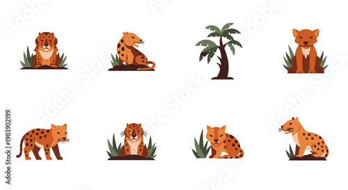 Cheetahs in various poses sitting.