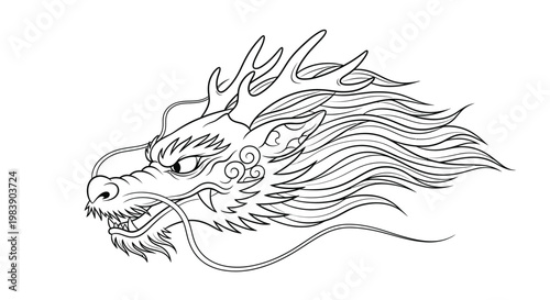 Dragon head with long flowing mane.