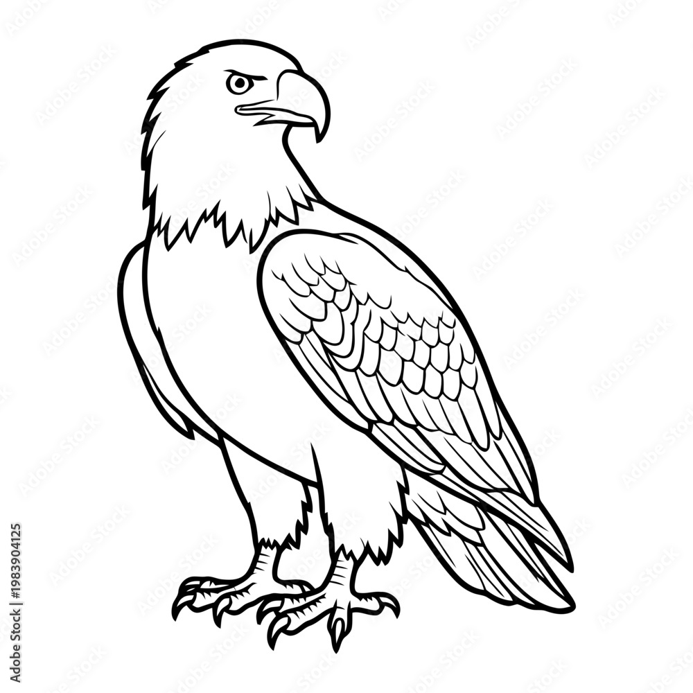 Fototapeta premium Elegant eagle illustration with sharp talons
