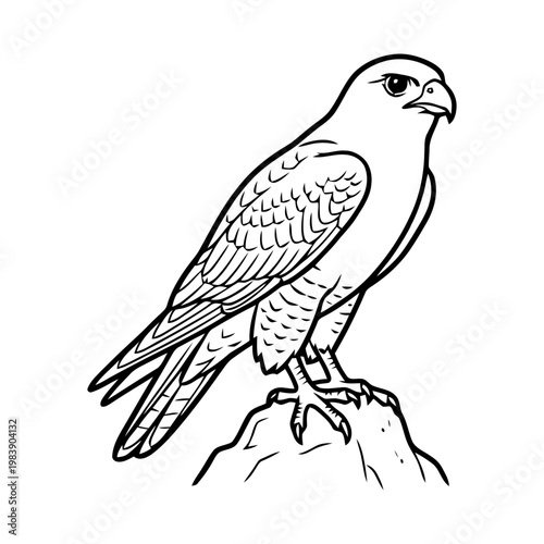 Majestic hawk perched on rocky outcrop in sharp detailed illustration
