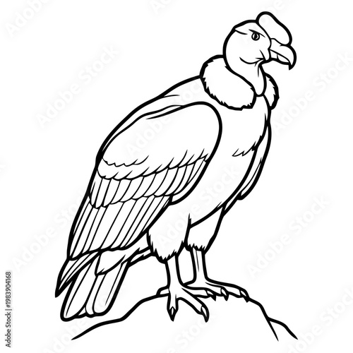 Majestic vulture standing proudly on rocky outcrop
