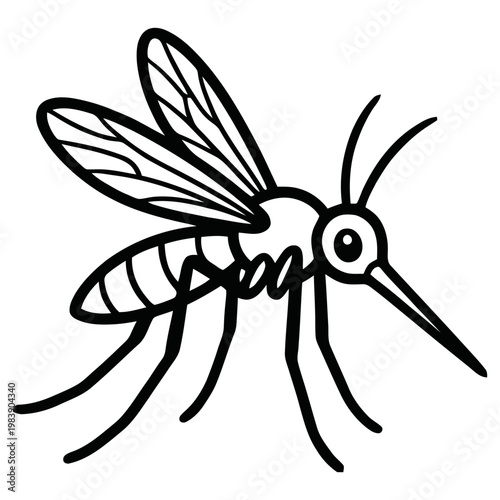 Mosquito illustration with detailed anatomy