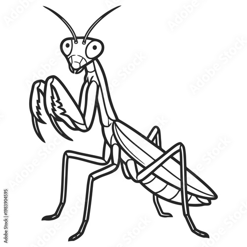 Cartoon praying mantis standing in aggressive pose