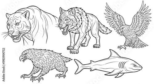 Wild animals in various species group.