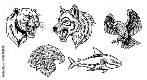 Wild animals head and fish drawings.