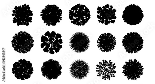 tree top view silhouettes and graphic resources of various plants isolated on white for architectural plans and landscape design.