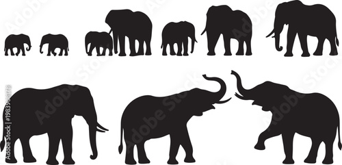 Elephants in various sizes and social interactions depicted in silhouette silhouette vector icon