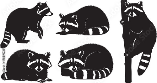 Five raccoons in various sitting and standing poses illustrated in black and white silhouette vector icon