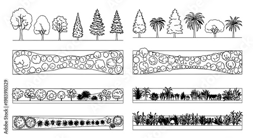 architectural drawing of landscape designs with various trees and plants