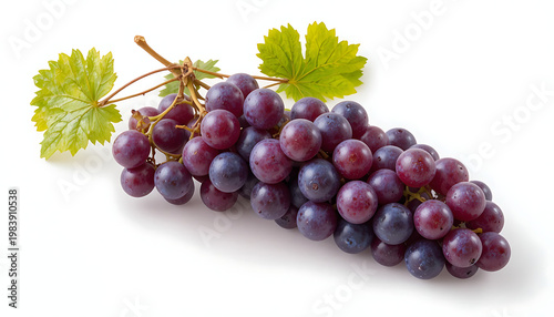 red grapes isolated on white background 
