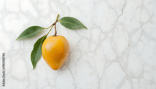 lemon on a branch white background 