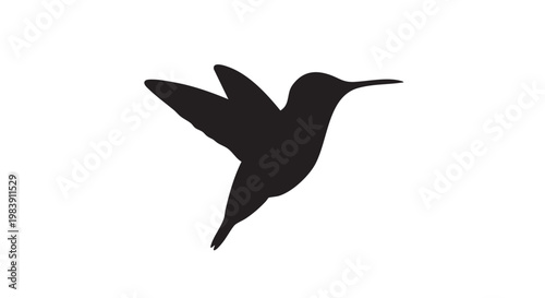 Black hummingbird silhouette in flight on white background minimalist simple lighting for wildlife illustration