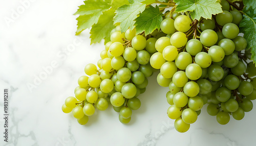 bunch of grapes on a vine beautiful background 